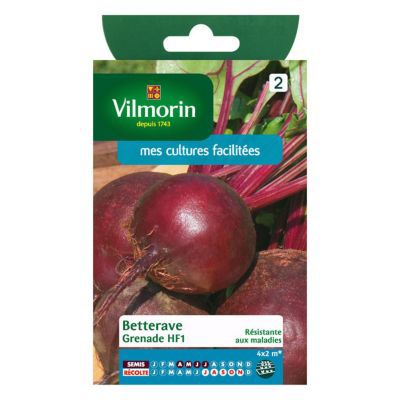 VILMORIN Betterave Grenade HF1 