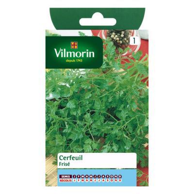 VILMORIN  - Cerfeuil Frise Serie 1