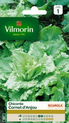 VILMORIN  - Sachet de graines Chicor&eacute;e Scarole Cornet d'Anjou