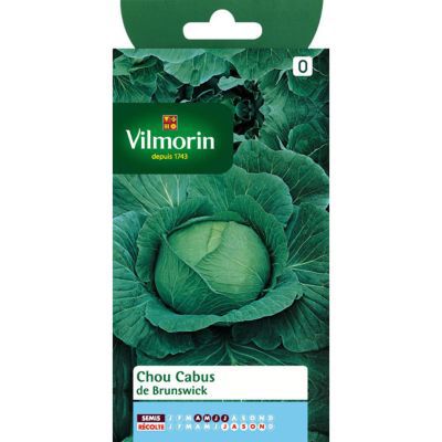 VILMORIN  - Chou Cabus de Brunswick