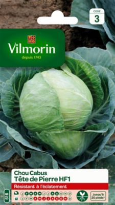 VILMORIN Chou cabus t&ecirc;te de pierre, hybride f1  0.8 g