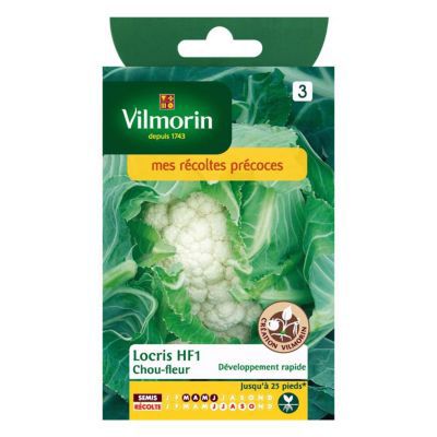 VILMORIN  - Sachet de graines Chou Fleur LOCRIS HF1 - Cr&eacute;ation 