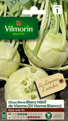 VILMORIN Graines de Chou Rave Blanc H&acirc;tif de Vienne 