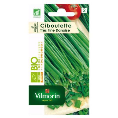 VILMORIN Sachet graines Ciboulette tr&egrave;s fine danoise BIO - Allium schoenoprasum