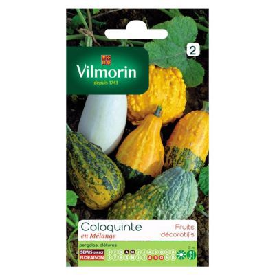 VILMORIN  5237842 Coloquinte, Multicolore, 90 x 2 x 160 cm