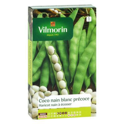VILMORIN Haricot Nain &agrave; Ecosser Coco Blanc Pr&eacute;coce 