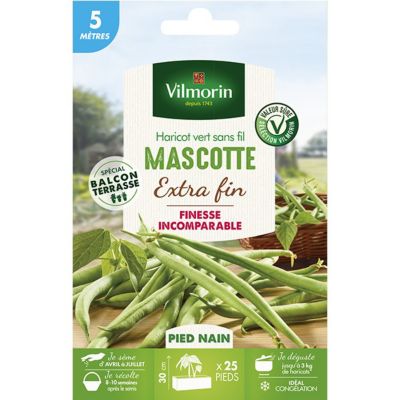 VILMORIN Graine -  - Haricot Nain Vert Mascotte - 10 m