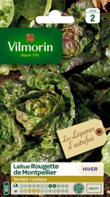 VILMORIN Graines de Laitue Rougette du Midi &agrave; Graines Noires 