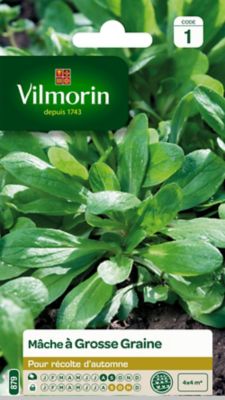 VILMORIN Graines de M&acirc;che &agrave; Grosse Graine 