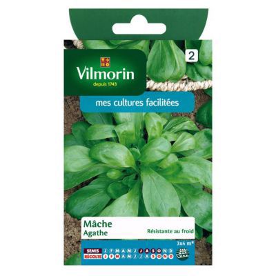 VILMORIN M&acirc;che Agathe 