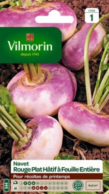 VILMORIN Graines -  - Navet-L&eacute;gume Rouge Plat H&acirc;tif &agrave; Feuille Enti&egrave;re