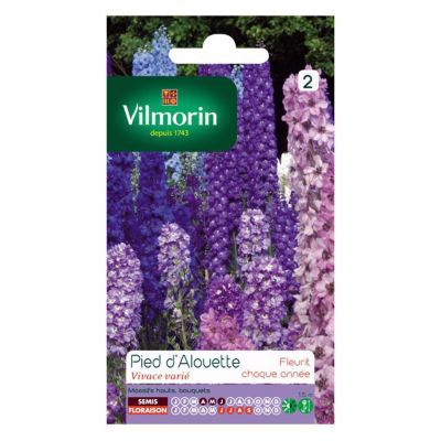 VILMORIN  - Sachet graines Pied d'Alouette Delphinium vivace vari&eacute;