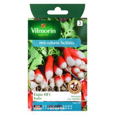 VILMORIN Graines de radis vari&eacute;t&eacute; ""Expo HF1""  semis de mars &agrave; ao&ucirc;t