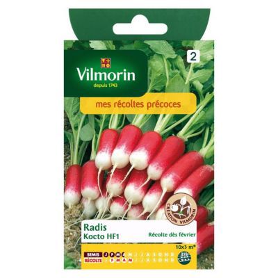 VILMORIN  - Sachet de graines Radis Kocto HF1 Cr&eacute;ation 