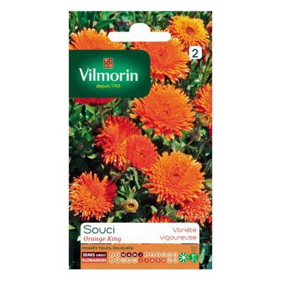 VILMORIN  - Sachet graines Souci orange King