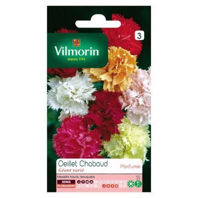 VILMORIN Graines d'Oeillet Chabaud G&eacute;ant Vari&eacute; 
