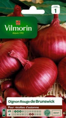 VILMORIN Graines d'Oignon Rouge de Brunswick 