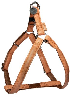 ZOLUX  Mac Leather Harnais R&eacute;glable pour Chien Jaune 25 mm