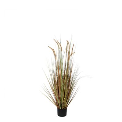 Herbe panache dogtail artificiel en pot vert &oslash;35 x h.92 cm