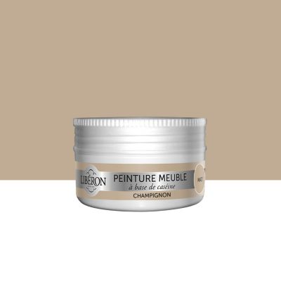 LIBERON Peinture meuble et boiserie Cas&eacute;ine  champignon mat 75 ml