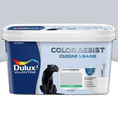 DULUX VALENTINE Peinture Color Resist Cuisine et Bains - Hammam - Satin - 2L