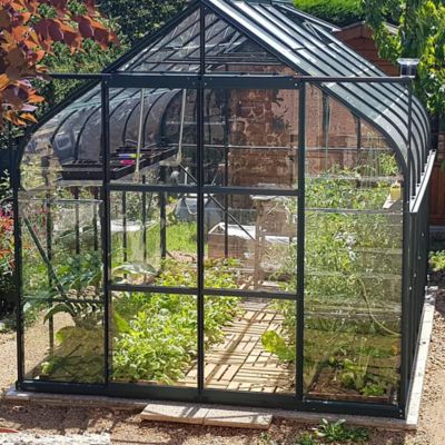 LAMS  - Serre en verre tremp&eacute; Alo&eacute; Diana - 9.70 m&sup2;