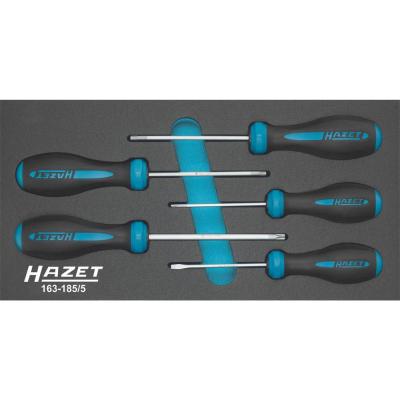 HAZET  163-185/5 Jeu de tournevis HEXAnamic torx tamper r&eacute;sistant&nbsp;/nombre d'outils&nbsp; 5