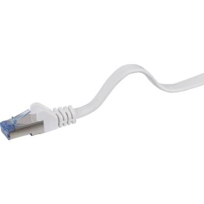 RENKFORCE RJ45 C&acirc;ble r&eacute;seau, c&acirc;ble patch CAT 6a U/FTP 25.00 cm gris tr&egrave;s flexible, avec cliquet dencastrement, ignifuge