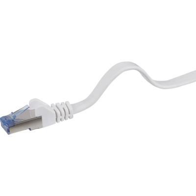 RENKFORCE RF-4149843 RJ45 C&acirc;ble r&eacute;seau, c&acirc;ble patch CAT 6a U/FTP 3.00 m gris tr&egrave;s flexible, avec cliquet dencastrement, ignifuge 