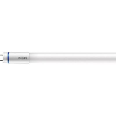 PHILIPS  Master ampoule LED 18,2 W G13, Lampe &agrave; LED