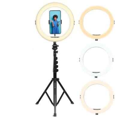 AGFA Lampe PHOTO  Photo Realiview ARL11XL - Ring Ligh