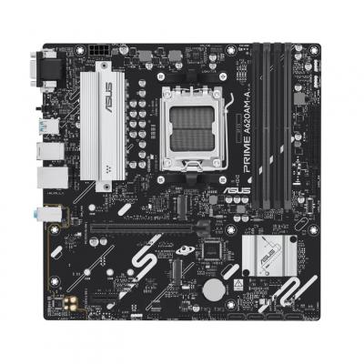 ASUS  PRIME A620AM A CSM - Neuf
