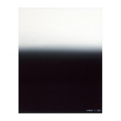 COKIN Filtre Z121 D&eacute;grad&eacute; Gris G2 ND8 (0.9)