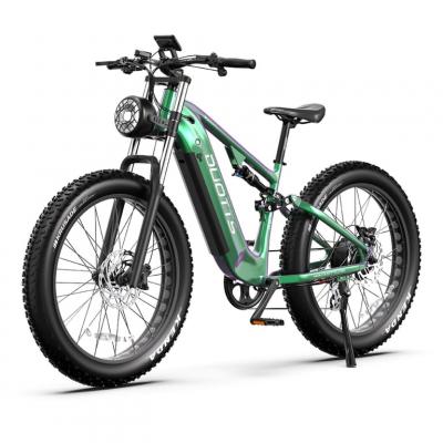 DUOTTS  E26 V&eacute;lo &eacute;lectrique - 750W 48V20AH 26*4.0 - Vert Violet
