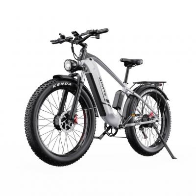 DUOTTS  f26 v&eacute;lo &eacute;lectrique - moteurs 750w*2 batterie 48v 20ah non pliable - blanc argent&eacute; 