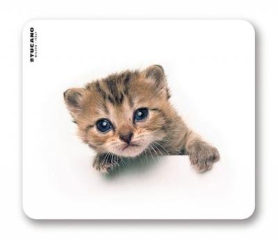 TUCANO  tapis de souris Chaton