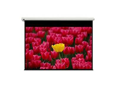 OPTOMA  Pantalla 16:9 2656 x 1494mm &eacute;cran de projection 3,05 m (120"")