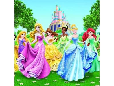 DISNEY Papier peint Ch&acirc;teau et Princesses  360X255 CM - Multicolor