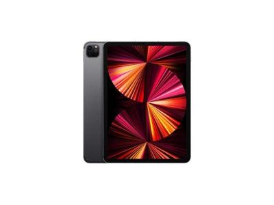 Apple iPad Pro 11" Wi-Fi + Cellular 2021 256Go gris sid&eacute;ral