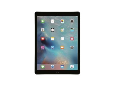Apple ipad pro - 12,9'' - stockage 256go - wifi/4g - mpa42nf/a - gris sid&eacute;ral - nouveaut&eacute; MPA42NF/A