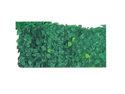 I GIARDINI DEL RE Arelle semperverdi lauro mt. 1.50x20