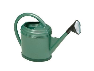 EDA - Arrosoir Ovale Luxe 12 litres Avec pomme