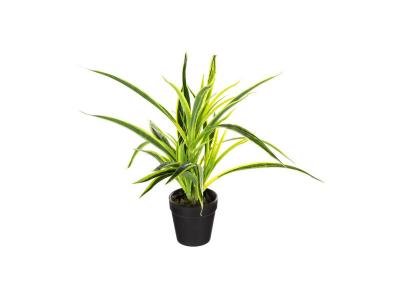 Plante Artificielle Pot Ciment H30cm - Mod&egrave;le A - Atmosphera 