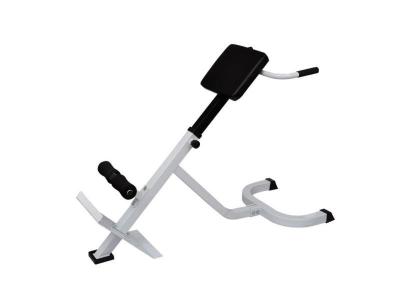  Banc de musculation du dos acier sport fitness musculation blanc et noir