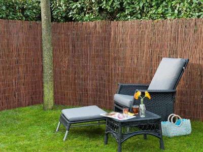 NATURE  - Paravent de jardin Saule 1 x 3 m 10 mm d'&eacute;paisseur n/a