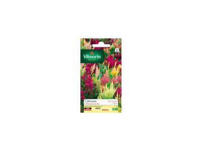 VILMORIN  - C&eacute;losie &agrave; panache vari&eacute; 