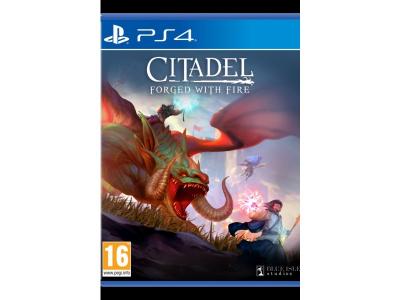 Citadel Forged With Fire (Playstation 4)