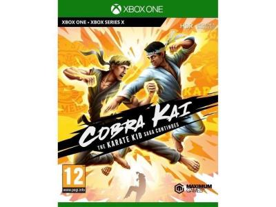 Cobra Kai The Karate Kid Continues