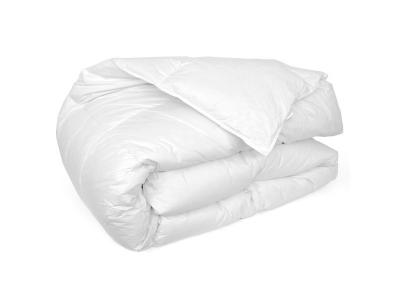 LINNEA Couette 200x200 cm hiver cap nord garnissage naturel duvet d'oie 400g/m2