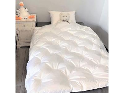 CASTEX COUETTES NATURELLES Couette enfant bio 140x150 -  - Duvet de Canard - Blanc - Temp&eacute;r&eacute;e - Coton bio 